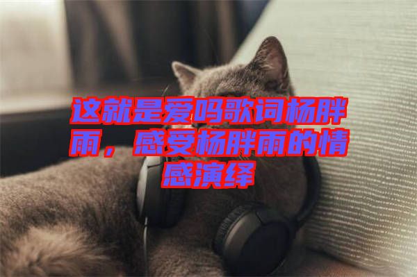 這就是愛(ài)嗎歌詞楊胖雨，感受楊胖雨的情感演繹