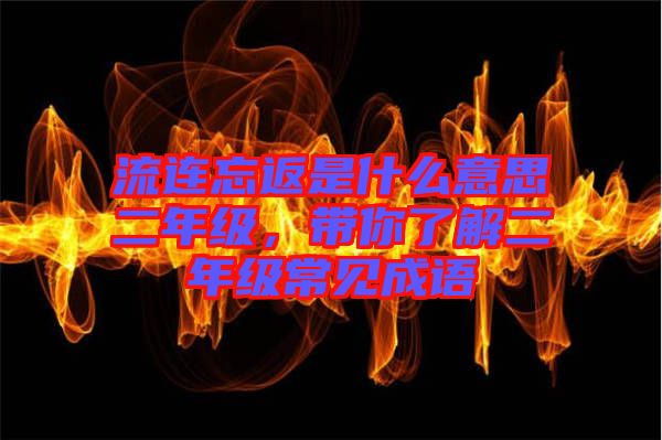流連忘返是什么意思二年級(jí)，帶你了解二年級(jí)常見(jiàn)成語(yǔ)