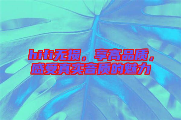 hifi無損，享高品質(zhì)，感受真實音質(zhì)的魅力