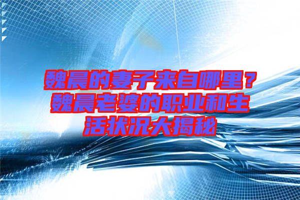 魏晨的妻子來自哪里？魏晨老婆的職業(yè)和生活狀況大揭秘