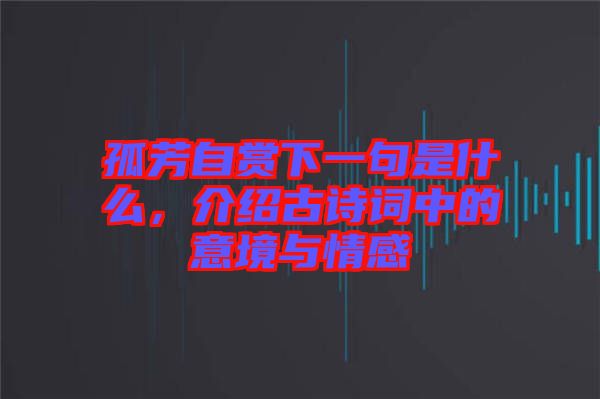 孤芳自賞下一句是什么，介紹古詩(shī)詞中的意境與情感