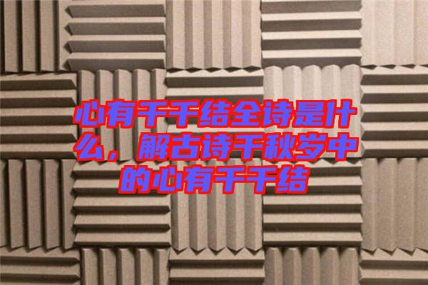 心有千千結(jié)全詩是什么，解古詩千秋歲中的心有千千結(jié)