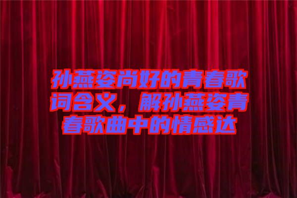 孫燕姿尚好的青春歌詞含義，解孫燕姿青春歌曲中的情感達(dá)