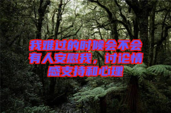 我難過的時候會不會有人安慰我，討論情感支持和心理