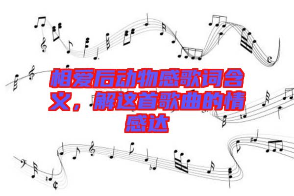 相愛后動(dòng)物感歌詞含義，解這首歌曲的情感達(dá)