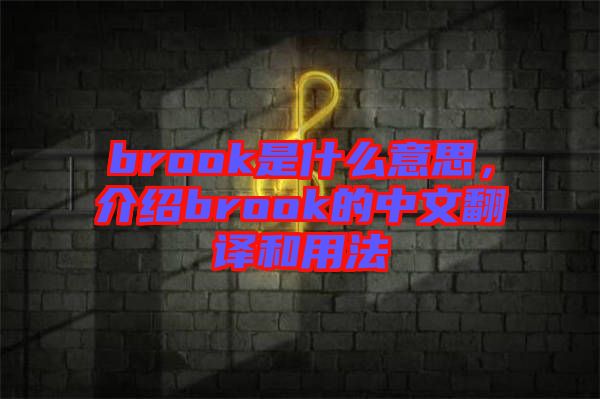 brook是什么意思，介紹brook的中文翻譯和用法