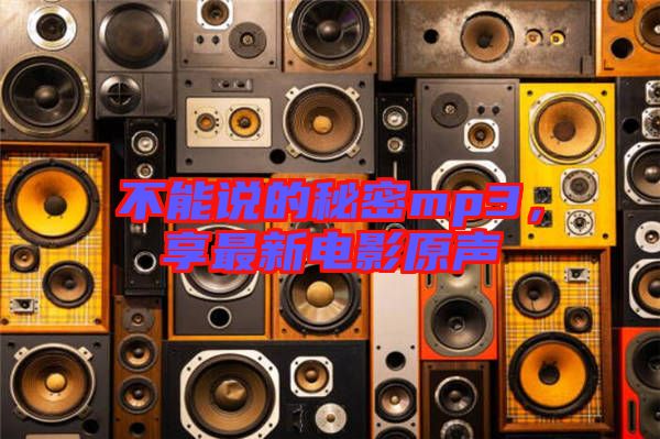 不能說的秘密mp3，享最新電影原聲