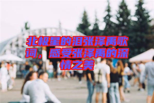 北極星的淚張澤禹歌詞，感受張澤禹的深情之美