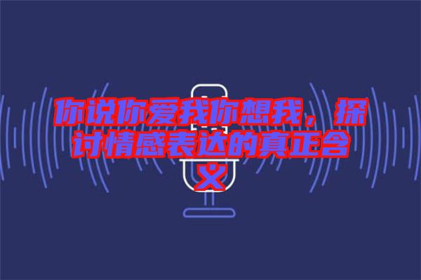 你說你愛我你想我，探討情感表達(dá)的真正含義