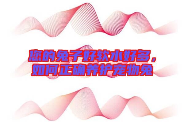 您的兔子好軟水好多，如何正確養(yǎng)護(hù)寵物兔