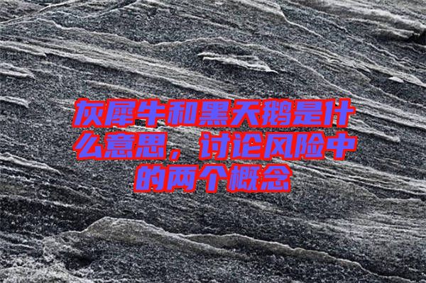 灰犀牛和黑天鵝是什么意思，討論風(fēng)險中的兩個概念