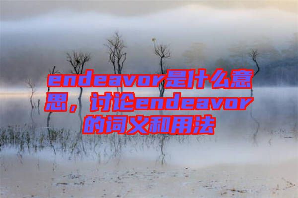 endeavor是什么意思，討論endeavor的詞義和用法