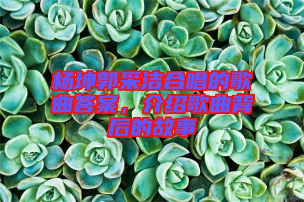 楊坤郭采潔合唱的歌曲答案，介紹歌曲背后的故事