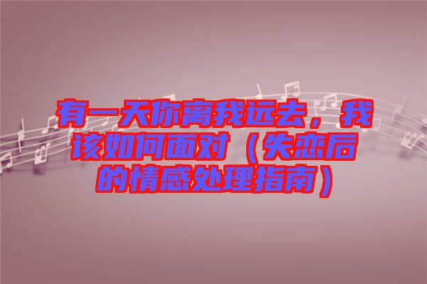 有一天你離我遠(yuǎn)去，我該如何面對(duì)（失戀后的情感處理指南）