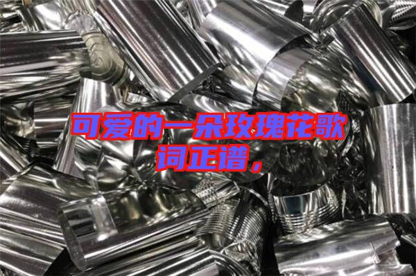 可愛的一朵玫瑰花歌詞正譜，