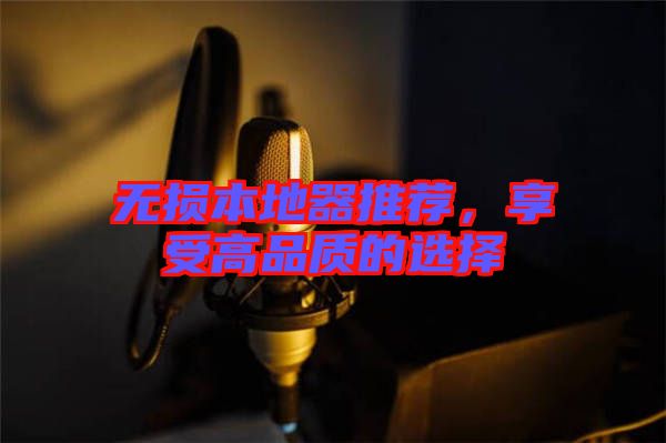 無(wú)損本地器推薦，享受高品質(zhì)的選擇
