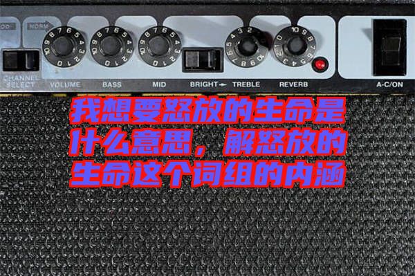 我想要怒放的生命是什么意思，解怒放的生命這個(gè)詞組的內(nèi)涵