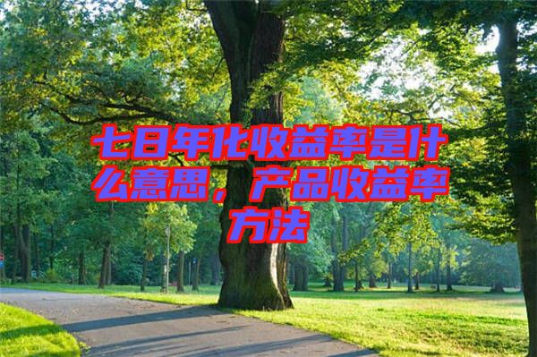 七日年化收益率是什么意思，產(chǎn)品收益率方法