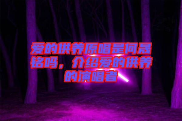 愛(ài)的供養(yǎng)原唱是何晟銘嗎，介紹愛(ài)的供養(yǎng)的演唱者
