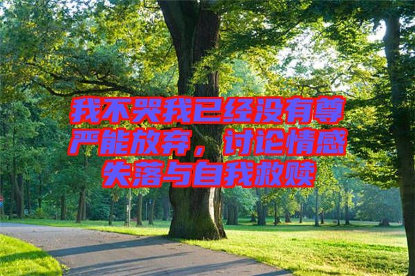 我不哭我已經(jīng)沒有尊嚴(yán)能放棄，討論情感失落與自我救贖