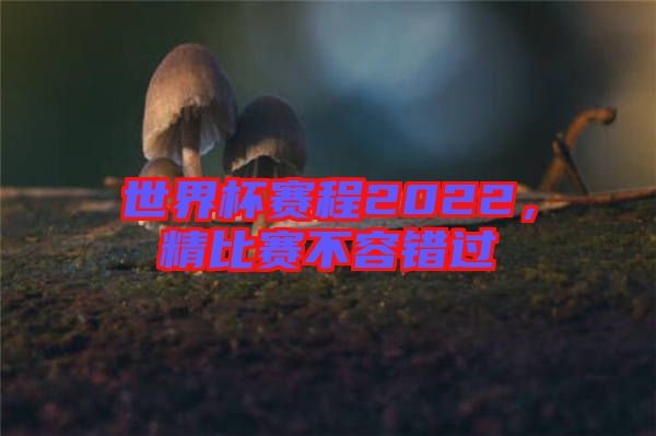 世界杯賽程2022，精比賽不容錯過