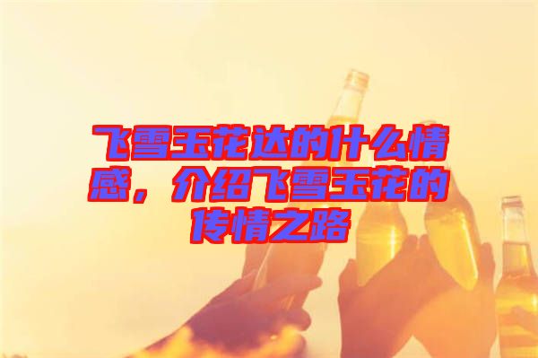 飛雪玉花達的什么情感，介紹飛雪玉花的傳情之路