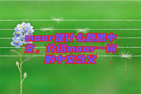 moor是什么意思中文，介紹moor一詞的中文含義