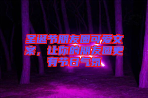 圣誕節(jié)朋友圈可愛(ài)文案，讓你的朋友圈更有節(jié)日氣氛