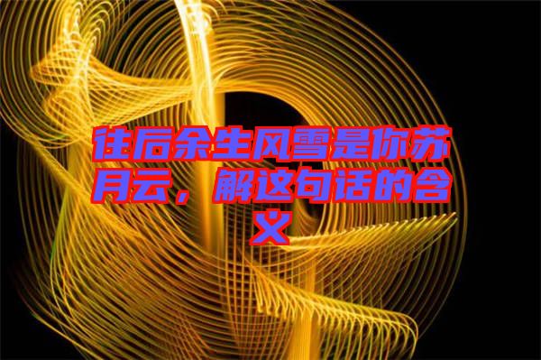 往后余生風(fēng)雪是你蘇月云，解這句話的含義