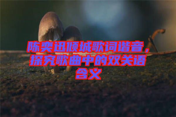 陳奕迅傾城歌詞諧音，探究歌曲中的雙關(guān)語含義