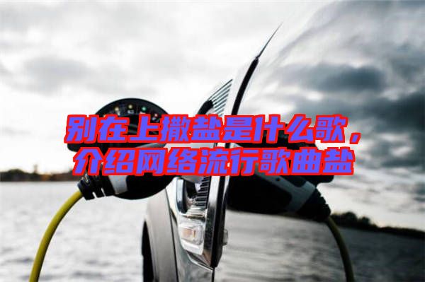 別在上撒鹽是什么歌，介紹網(wǎng)絡流行歌曲鹽