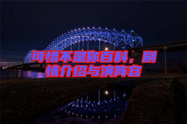 可惜不是你百科，劇情介紹與演陣容