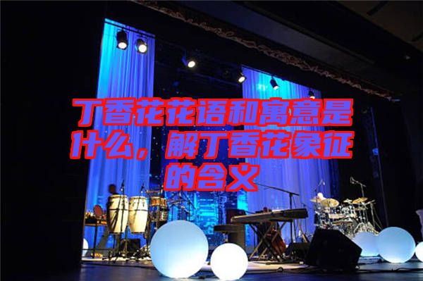 丁香花花語(yǔ)和寓意是什么，解丁香花象征的含義