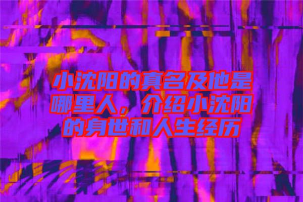 小沈陽(yáng)的真名及他是哪里人，介紹小沈陽(yáng)的身世和人生經(jīng)歷