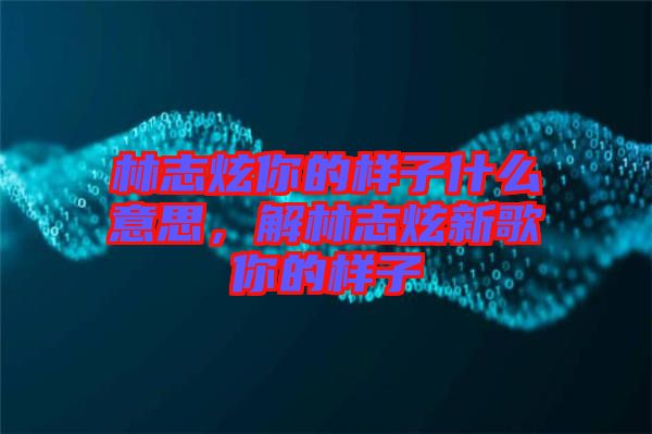 林志炫你的樣子什么意思，解林志炫新歌你的樣子
