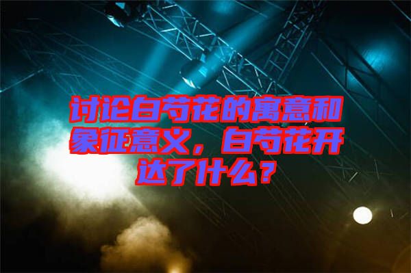 討論白芍花的寓意和象征意義，白芍花開達(dá)了什么？