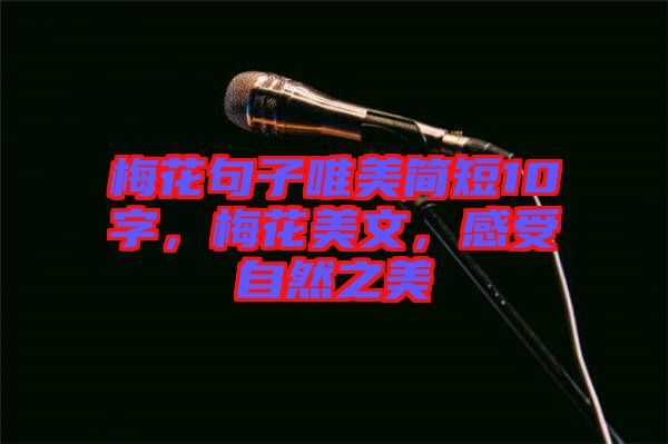 梅花句子唯美簡短10字，梅花美文，感受自然之美