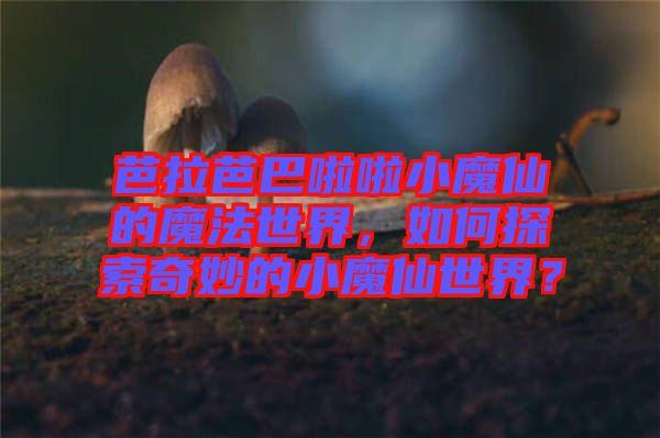 芭拉芭巴啦啦小魔仙的魔法世界，如何探索奇妙的小魔仙世界？