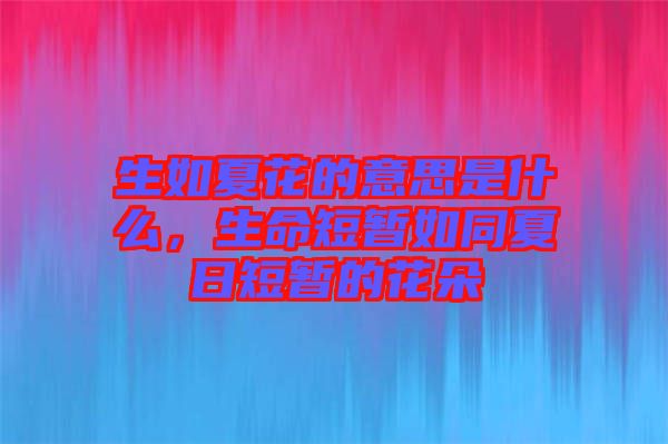 生如夏花的意思是什么，生命短暫如同夏日短暫的花朵