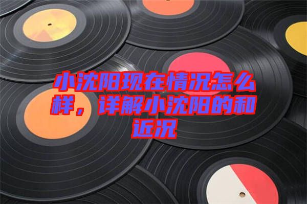 小沈陽現(xiàn)在情況怎么樣，詳解小沈陽的和近況