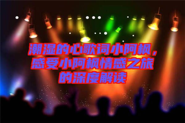 潮濕的心歌詞小阿楓，感受小阿楓情感之旅的深度解讀