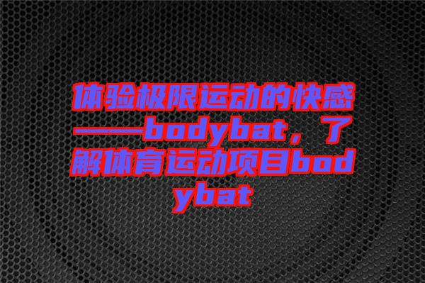 體驗極限運動的快感——bodybat，了解體育運動項目bodybat