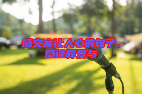 感文案讓人心的句子，感詮釋愛與