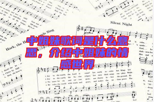 中姐妹歌詞是什么意思，介紹中姐妹的情感世界