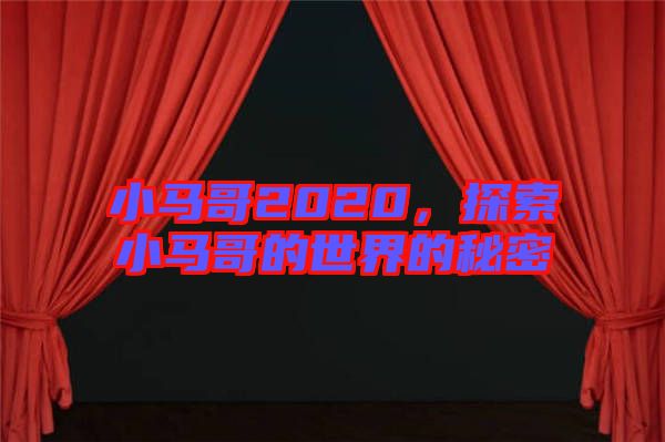 小馬哥2020，探索小馬哥的世界的秘密