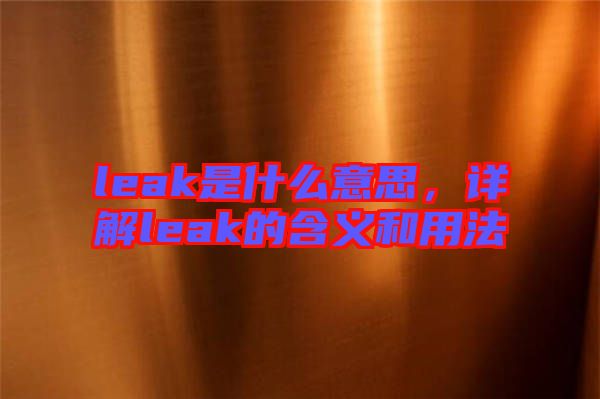 leak是什么意思，詳解leak的含義和用法