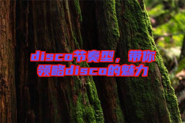 disco節(jié)奏型，帶你領(lǐng)略disco的魅力