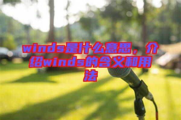 winds是什么意思，介紹winds的含義和用法