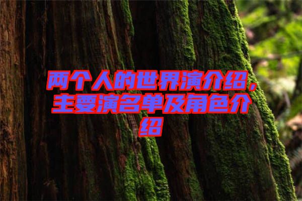 兩個人的世界演介紹，主要演名單及角色介紹
