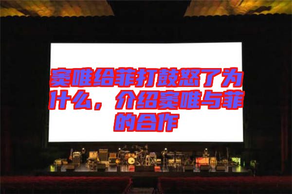 竇唯給菲打鼓怒了為什么，介紹竇唯與菲的合作